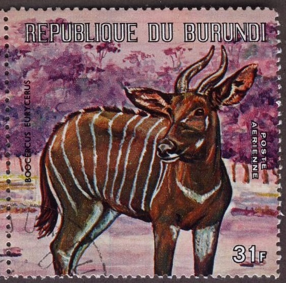 Burundi 1971 Bongo Postage Stamp
