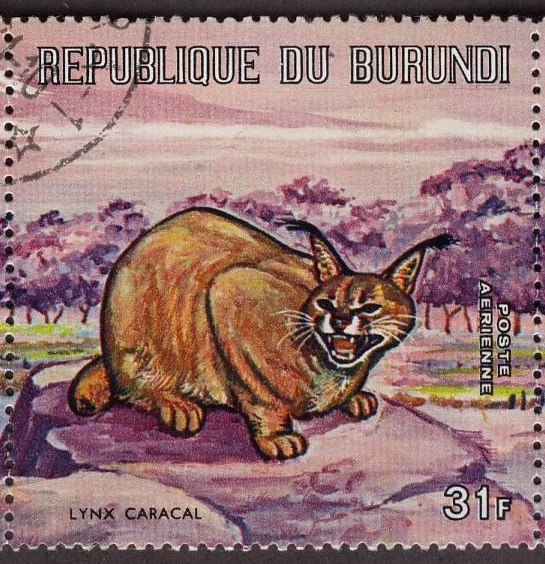 Burundi 1971 Caracal Postage Stamp